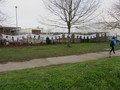 IMG_5864.JPG