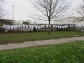 IMG_5866.JPG