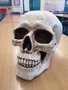 IMG_20210329_162841 - Copy.jpg