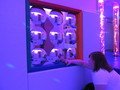 IMG_6191.JPG