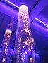 IMG_6204.JPG