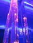 IMG_6205.JPG