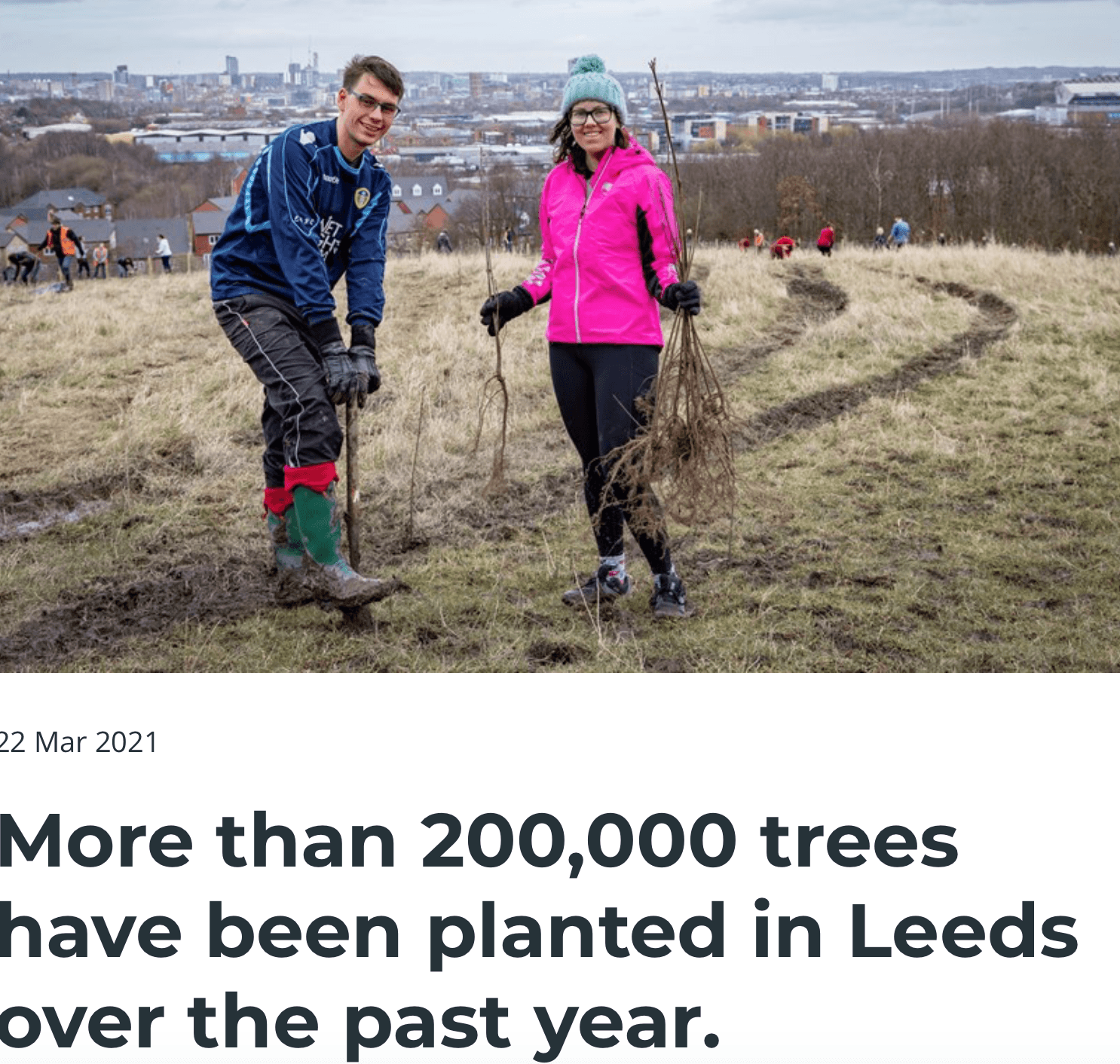 trees Leeds