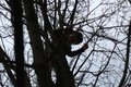 IMG_3186.JPG