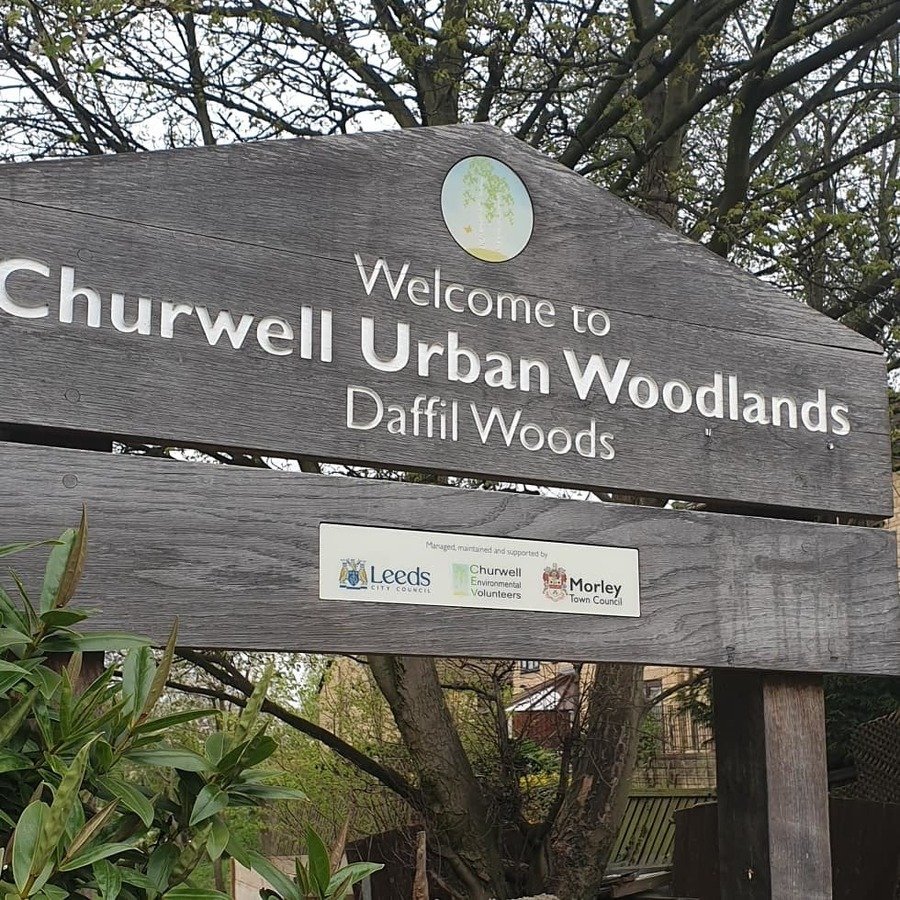 Churwell Woods