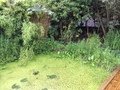 4114FEFE-B957-4DB6-9B6F-683DAA59E285.jpeg