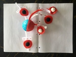 thumbnail_IMG_8800.jpg