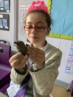 IMG_7674.jpg