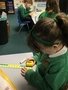 measuring objects from around the class 5.JPG