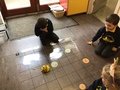 6683A341-D5CA-4C7C-AC9C-BD5F2B60A0D6.jpeg
