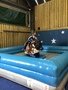 174E3158-57BB-4A6F-AD9D-78DA02C80D33.jpeg
