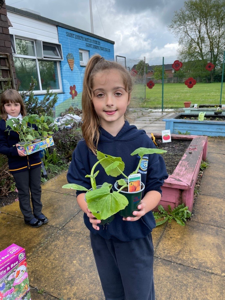 The Eco-council are helping their class to grow vegetables in our kitchen garden. We are growing onions, tomatoes, lettuce, courgette, kale, sweetcorn and cucumber. We are also growing wild flowers to attract bees and butterflies