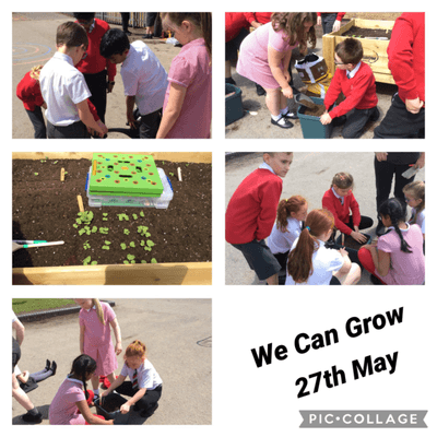 Y4 We can grow 1.PNG