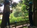 IMG_1303.JPG