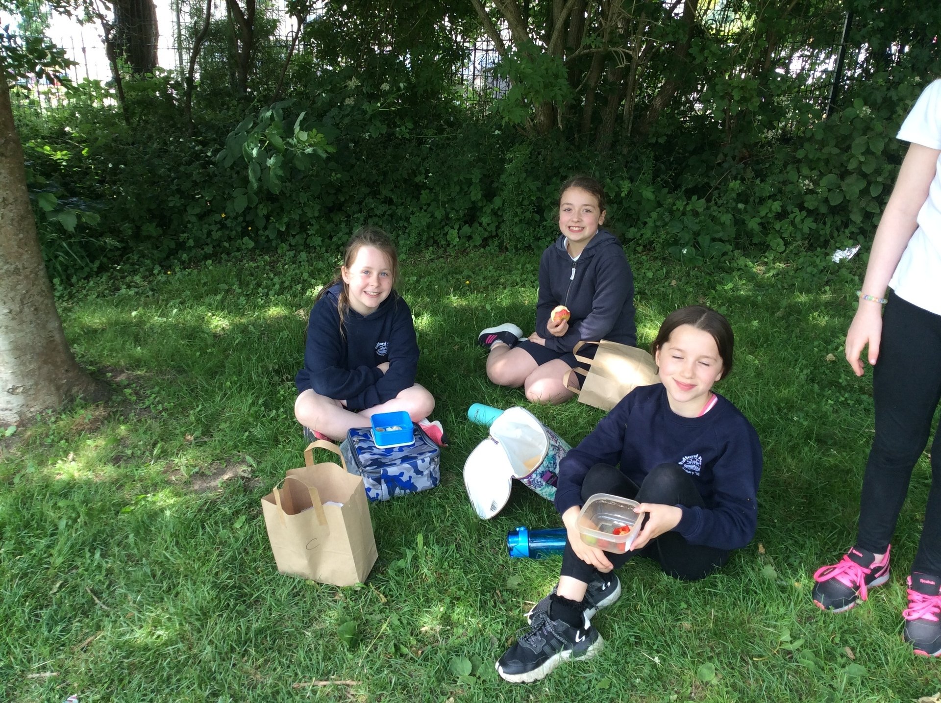 Rufford Park Primary School Beech Tree Class Blog