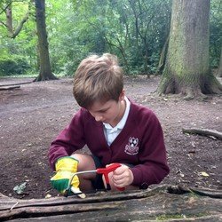 Years 3 and 4 took part in Forest...