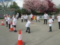 IMG_8331.JPG