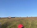 IMG_1463.JPG