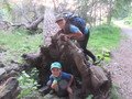 IMG_2687.JPG