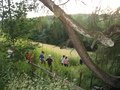 IMG_9074.JPG