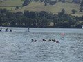 DSCF6673.JPG