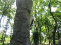 IMG_2753.JPG