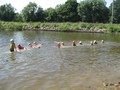 IMG_9158.JPG