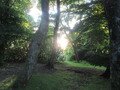 IMG_2779.JPG