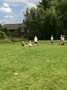 IMG_0374.JPG