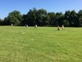 IMG_0249.JPG