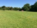IMG_0255.JPG