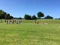 IMG_0264.JPG