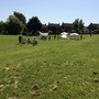 IMG_0287.JPG