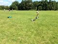 IMG_0306.JPG