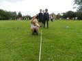 DSCN9692.JPG