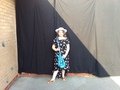959FB591-ED5E-42D9-97DC-27B2C08F0531.jpeg