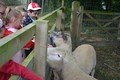 Y2 Manor Farm 2021  (78).JPG