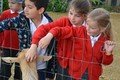 Y2 Manor Farm 2021  (85).JPG