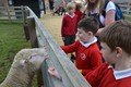 Y2 Manor Farm 2021  (136).JPG