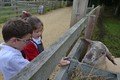 Y2 Manor Farm 2021  (137).JPG
