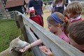 Y2 Manor Farm 2021  (138).JPG