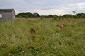 Y2 Manor Farm 2021  (182).JPG