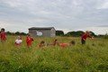 Y2 Manor Farm 2021  (184).JPG