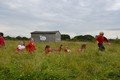Y2 Manor Farm 2021  (185).JPG