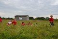 Y2 Manor Farm 2021  (186).JPG