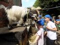 DSCN8203.JPG