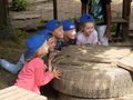 DSCN8210.JPG