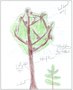 rowan tree drawing 2.jpg