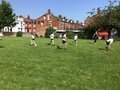 IMG_0237.JPG