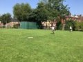 IMG_0246.JPG
